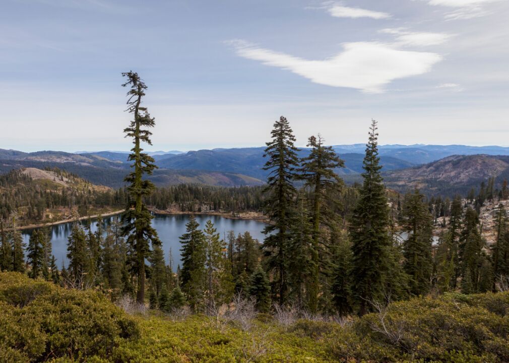 #46. Sierra County
